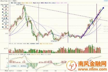 黑玉米价格最新行情分析