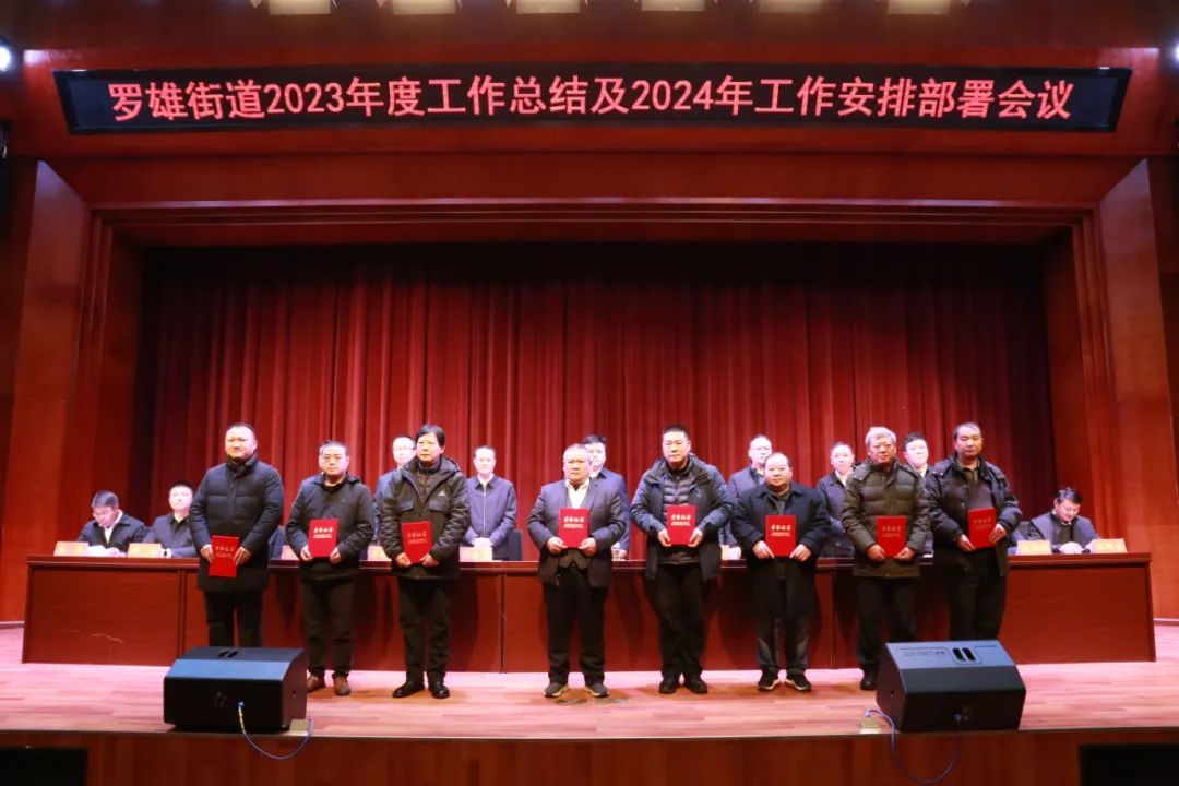 罗建强最新消息2024，事业腾飞，人生新篇章