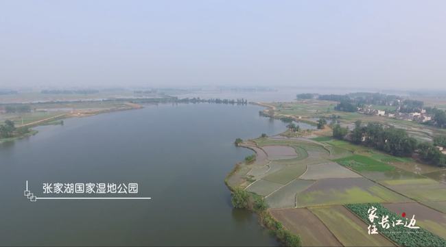 天门市张家湖最新进展，生态修复与未来规划