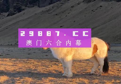 澳门一码一码100准确最全057期13-25-07-28-49-04T:02